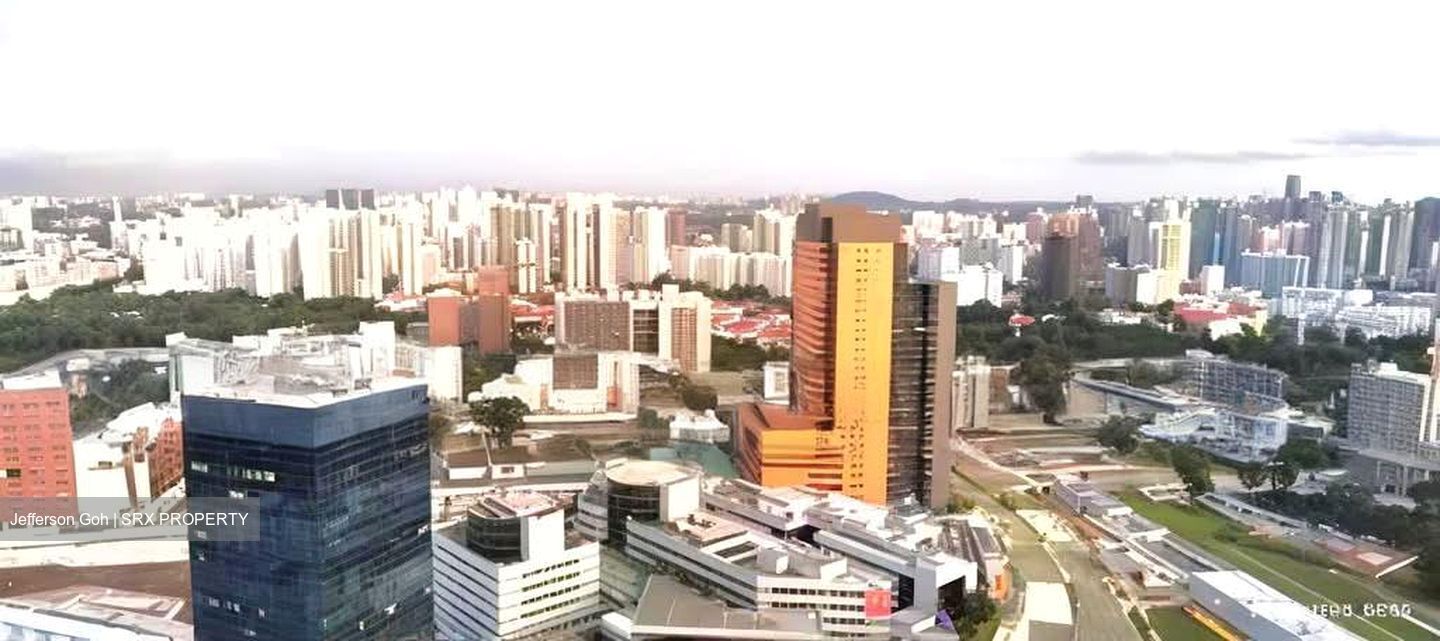 Blk 1A The Pinnacle@Duxton (Bukit Merah), HDB 4 Rooms #591943801